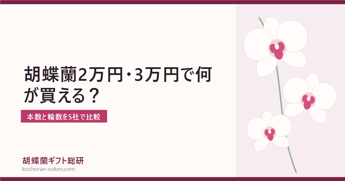 2万円・3万円の胡蝶蘭の本数と輪数を比較