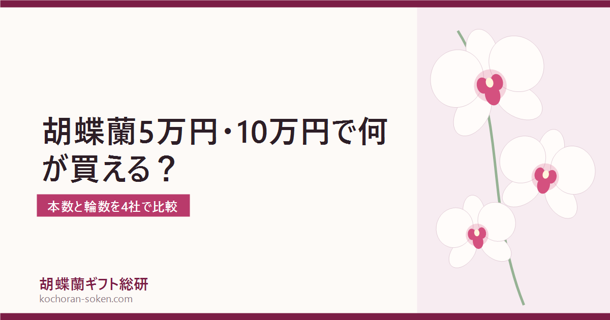 5万円・10万円の胡蝶蘭の本数と輪数を比較