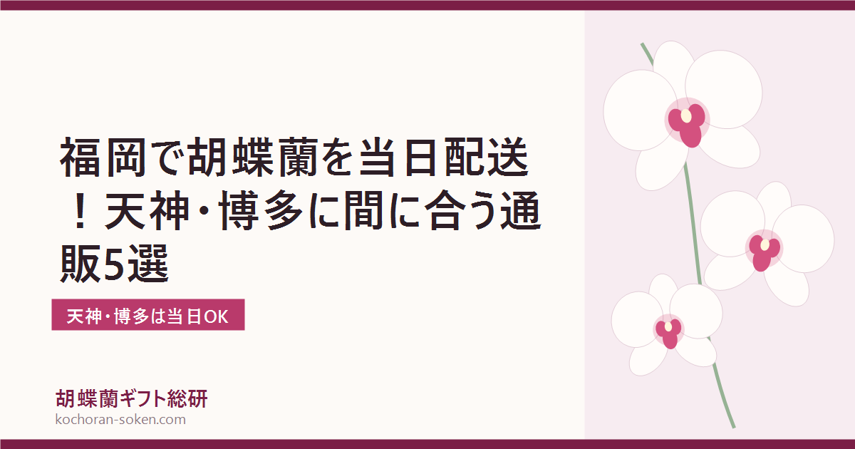 福岡で胡蝶蘭を即日配送できる通販の解説イメージ