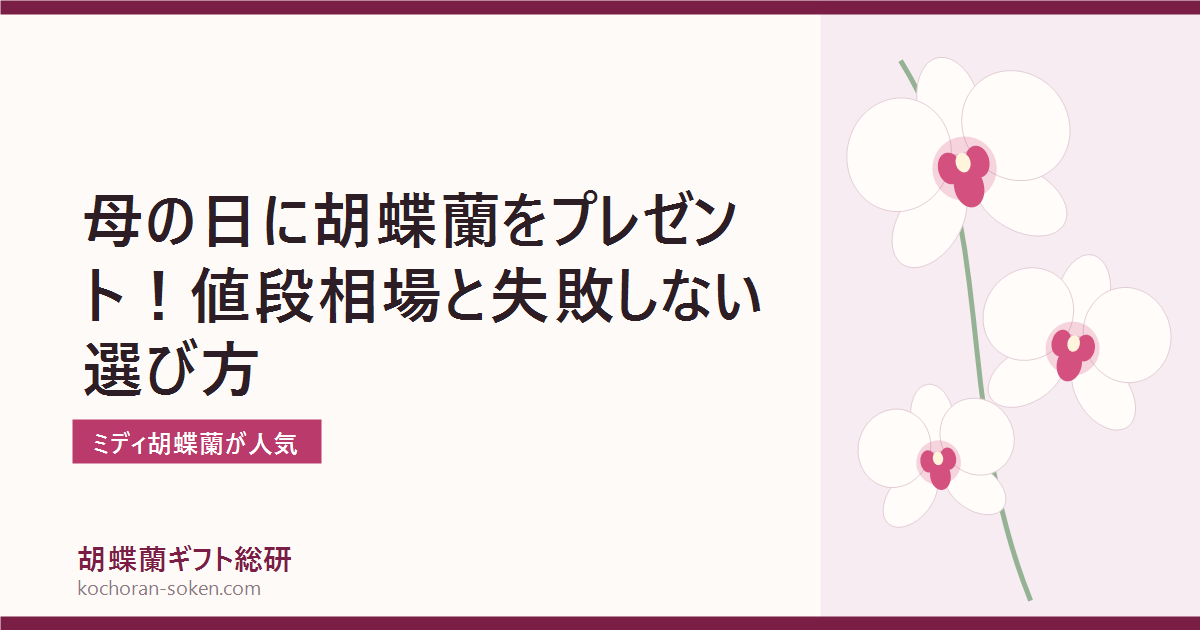 母の日に贈る胡蝶蘭のプレゼントを解説するイメージ