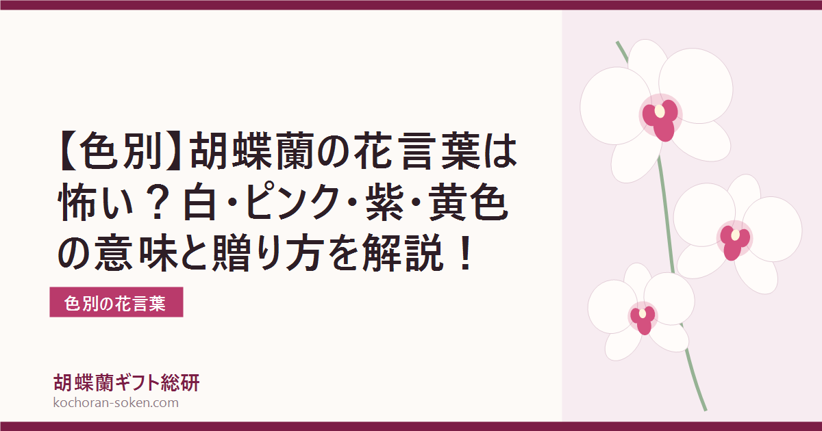 胡蝶蘭の花言葉を色別に解説するイメージ