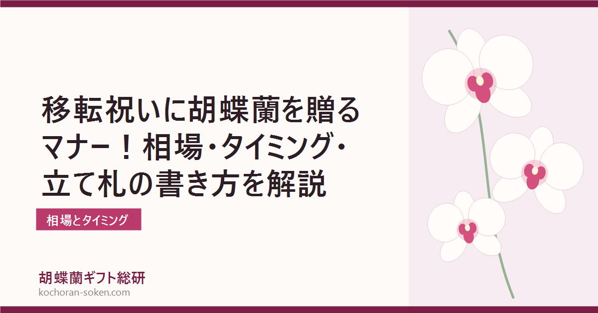 移転祝いの胡蝶蘭マナーを解説するイメージ