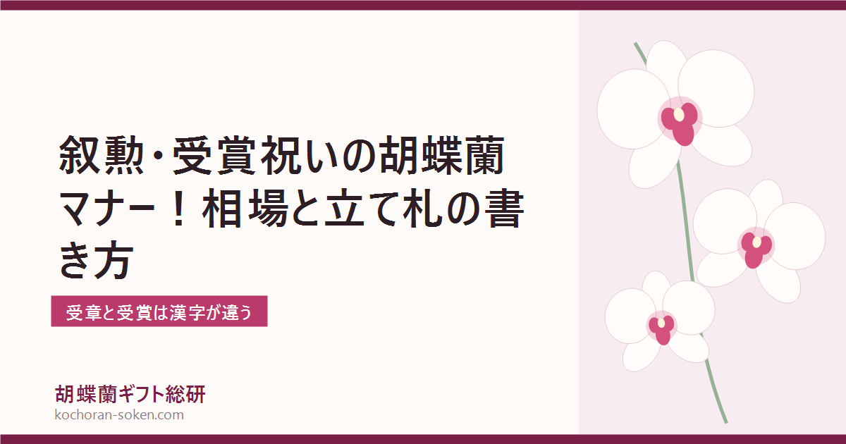 叙勲・受賞祝いの胡蝶蘭のマナーを解説するイメージ