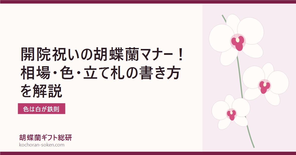 開院祝いの胡蝶蘭のマナーと色選びを解説するイメージ