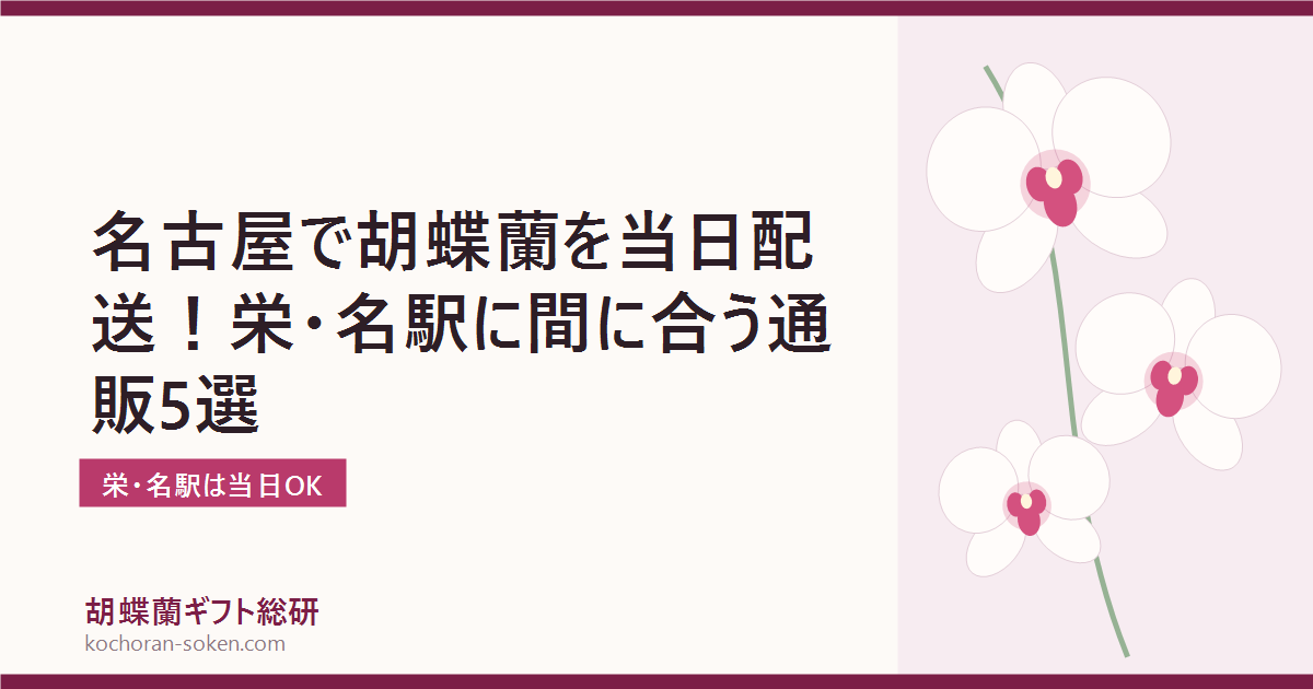 名古屋で胡蝶蘭を即日配送できる通販の解説イメージ