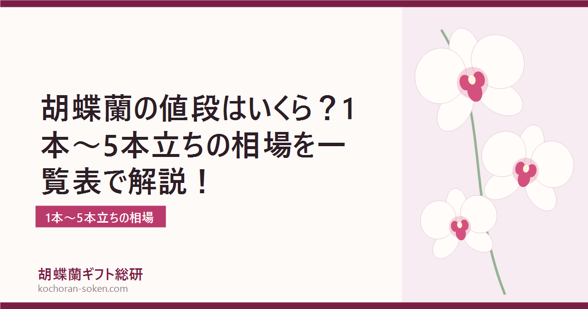 胡蝶蘭の値段相場を本数別に解説するイメージ