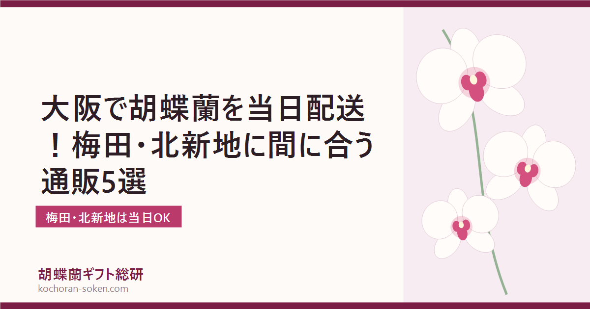 大阪で胡蝶蘭を即日配送できる通販の解説イメージ