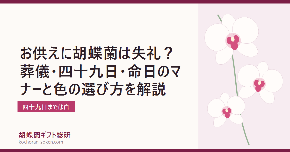 お供えの胡蝶蘭マナーを解説するイメージ