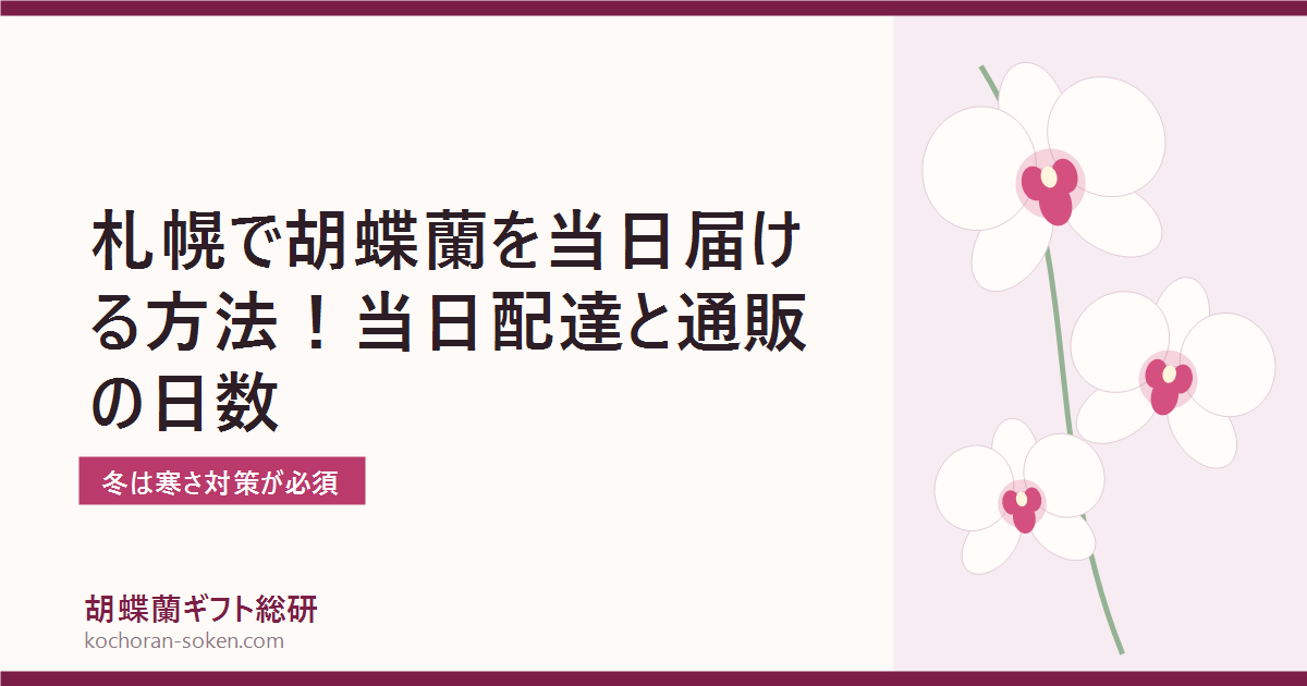 札幌で胡蝶蘭を当日届ける方法を解説するイメージ