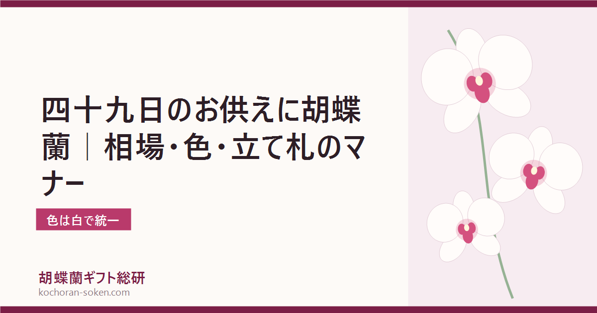 四十九日のお供えに贈る胡蝶蘭のマナーを解説するイメージ