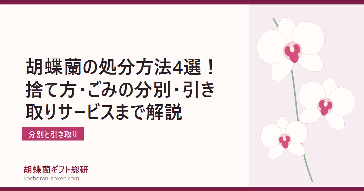 胡蝶蘭の処分方法とごみの分別を解説するイメージ