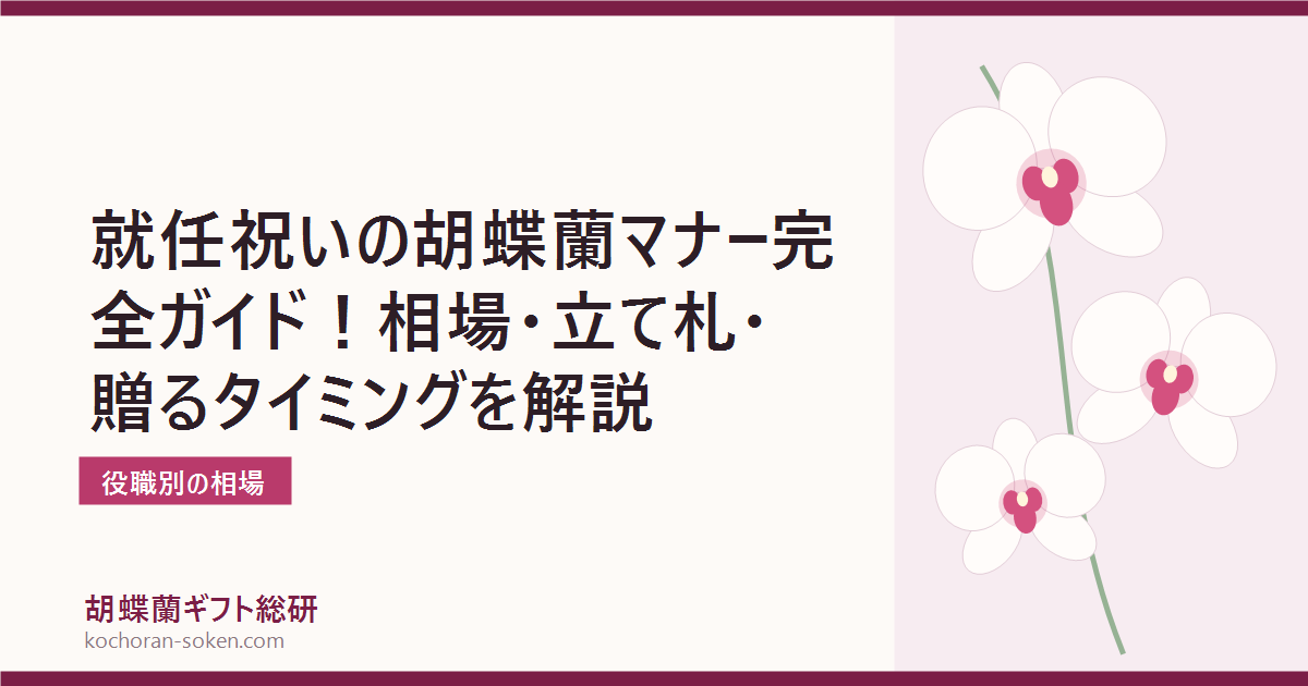 就任祝いの胡蝶蘭マナーを解説するイメージ