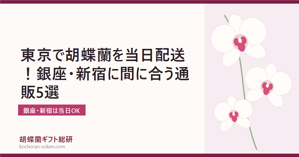 東京で胡蝶蘭を即日配送できる通販の解説イメージ