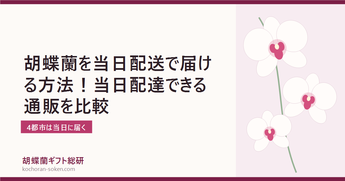 胡蝶蘭を当日配送で届ける方法を解説するイメージ