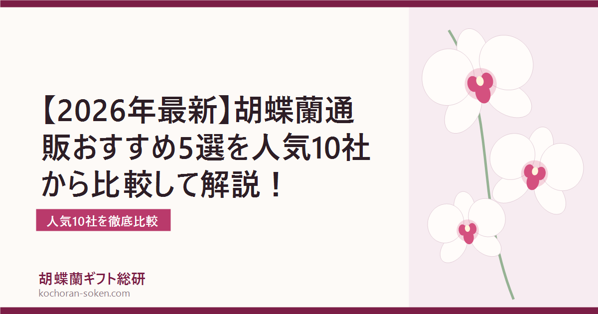 胡蝶蘭通販おすすめ5選を10社比較したイメージ