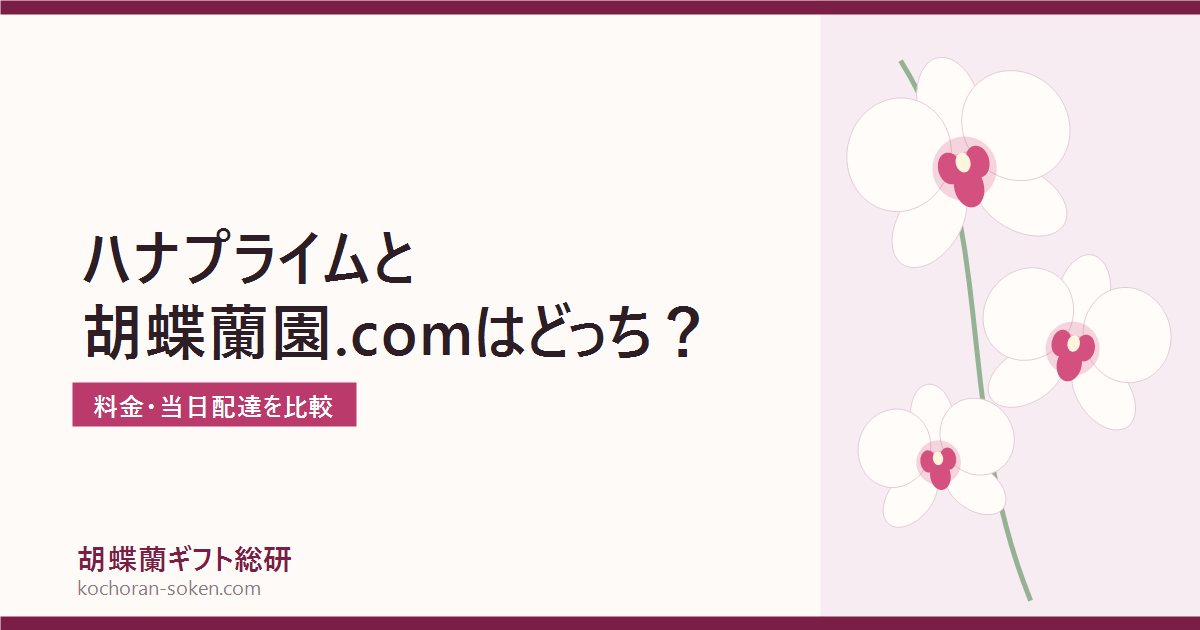 Hana Primeと胡蝶蘭園.comの比較イメージ